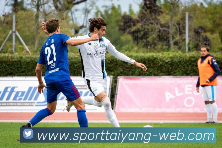 太阳城平台生态图